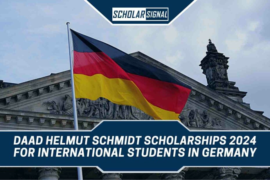 DAAD Helmut Schmidt Scholarships 2024 Comprehensive Guide for